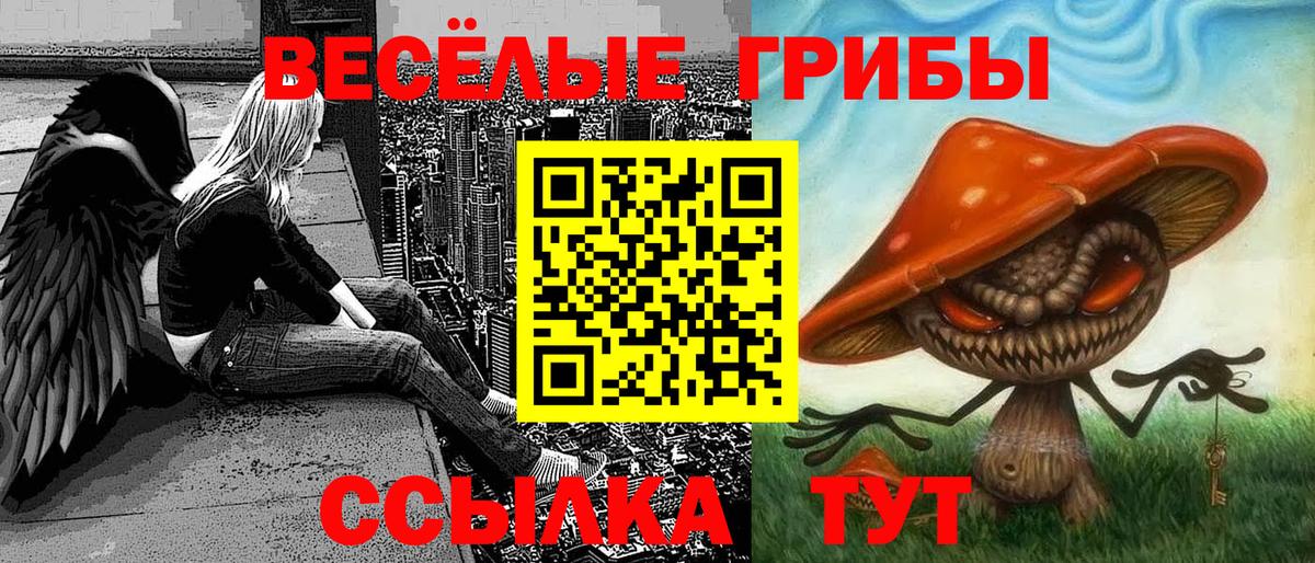 Галлюциногенные грибы Cubensis  Вход с VPN  Городец 