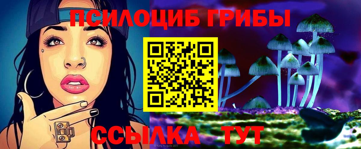Галлюциногенные грибы прущие грибы Городец
